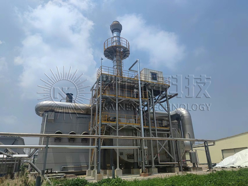 脱硝一体化设备项目，现代牧业-合肥 五河余热利用工程现场 (1)