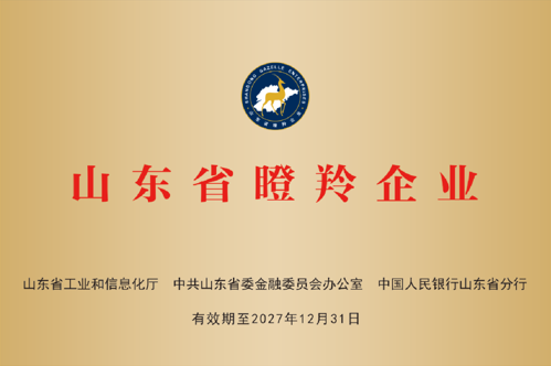 凯能-山东省瞪羚企业